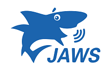 ПО экранного доступа "JAWS for Windows с синтезатором речи