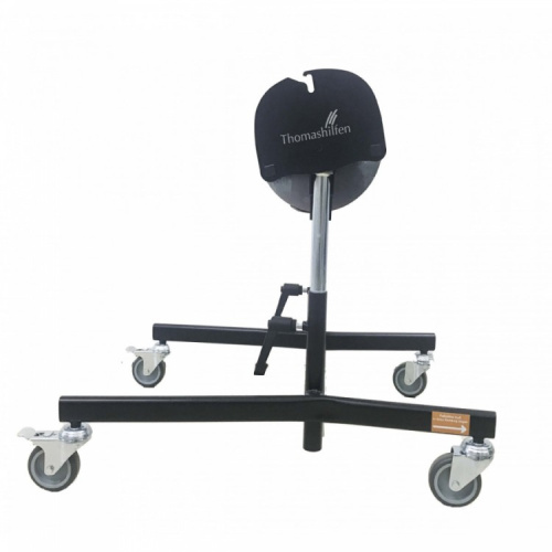 Thomashilfen EASyS Modular S на комнатной раме Z фото 5